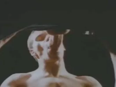 ખૂબ જ વિડિઓ (રેનાટા ફેરેરા)